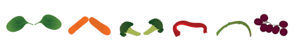 veggies
