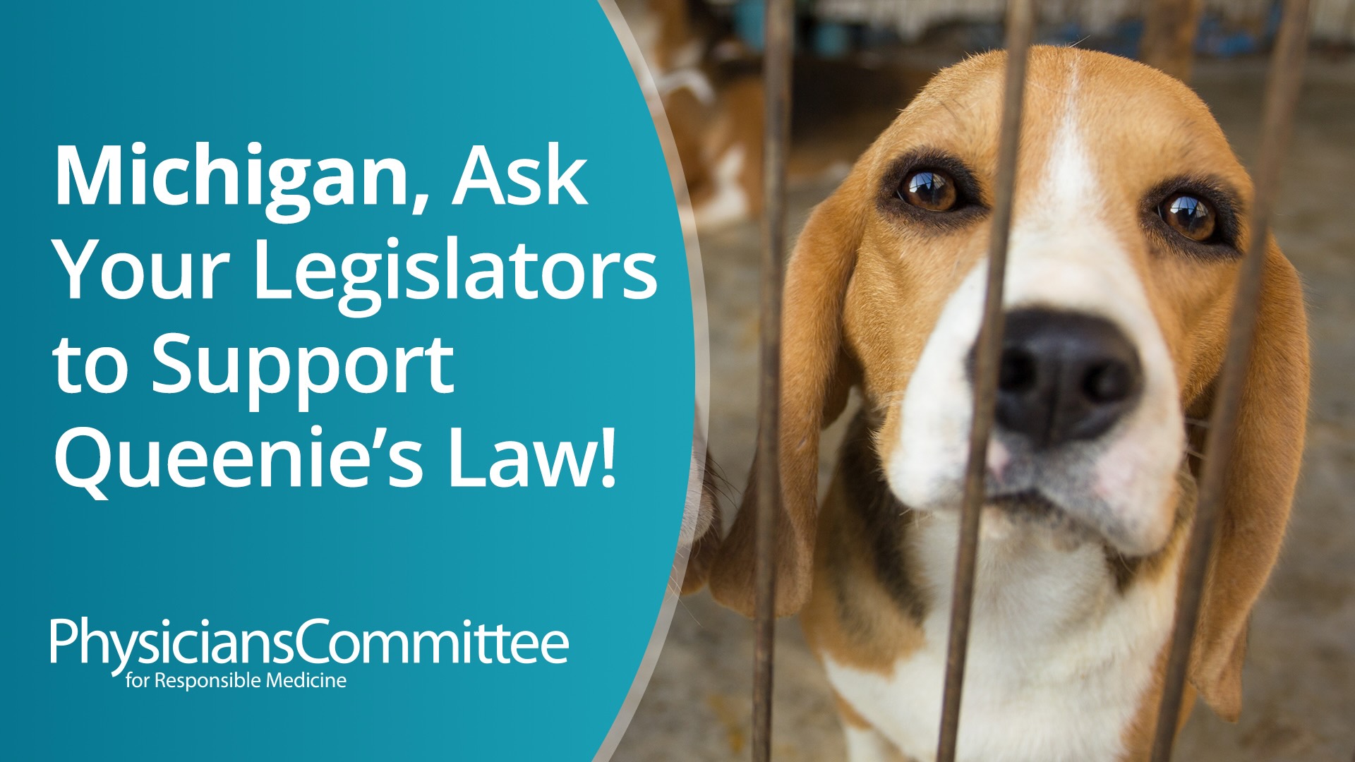 Michigan Ask Your Legislators