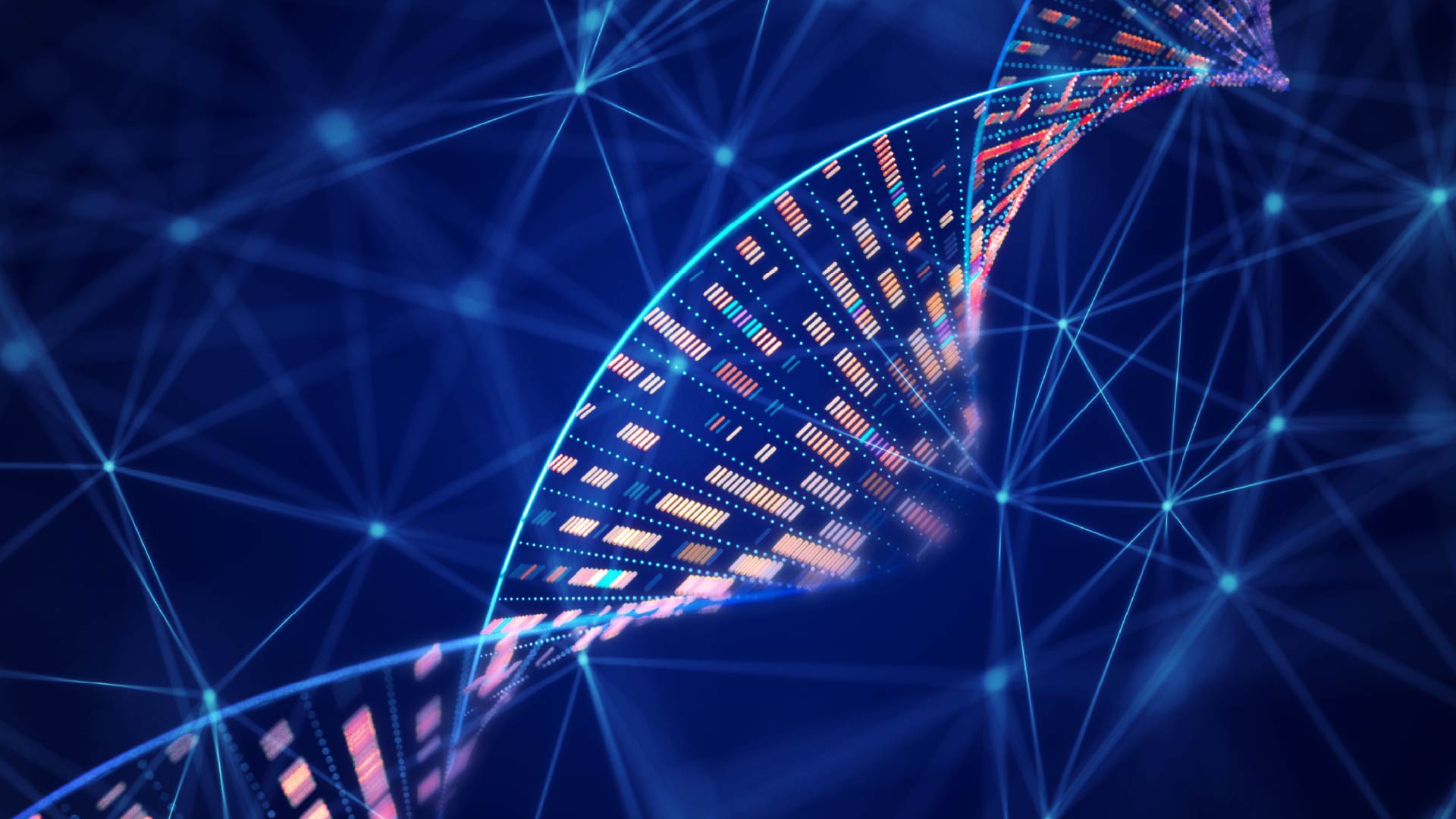 Genome Analysis DNA Molecular Structure and Network